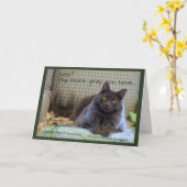 Carte Fluffy gris sur chaise (Fleur jaune)