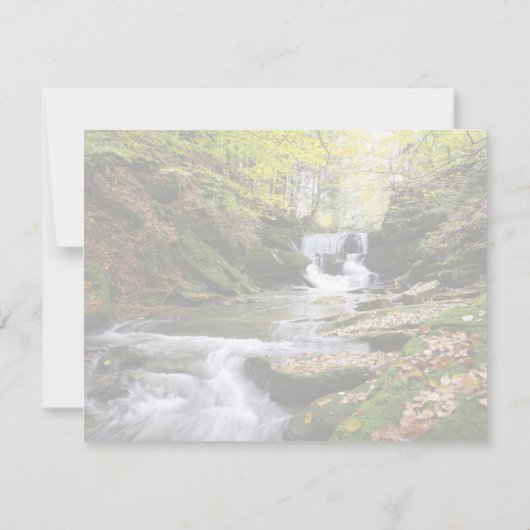 Carte Flux boisé avec message biblique réconfortant (Dos)