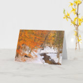 Carte Flux de la forêt du Mont Monadnock et feuillage de (Fleur jaune)