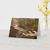 Carte Flux Flux Sentier Appalachien | Vermont (Fleur jaune)