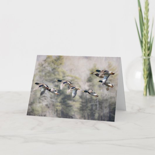 Carte Flying Mallards (Devant)
