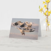 Carte Flying Snow Geese (Fleur jaune)