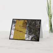 Carte Focus (Devant)