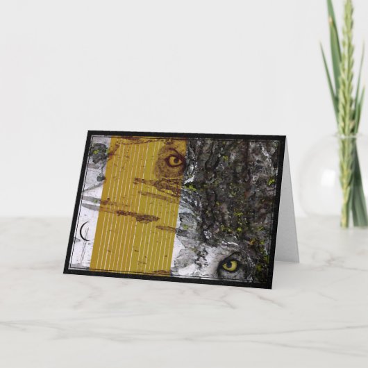 Carte Focus (Devant)