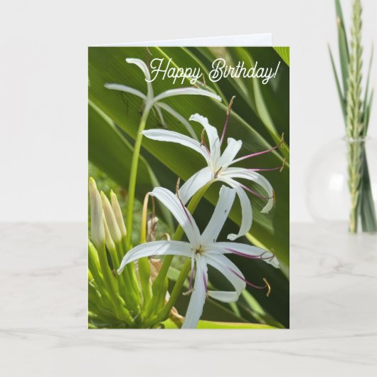 Carte Folded Greeting Card (Devant)