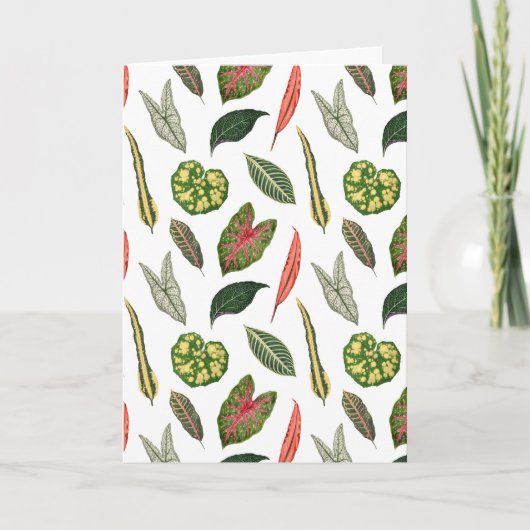 Carte Folded Greeting Card (Devant)