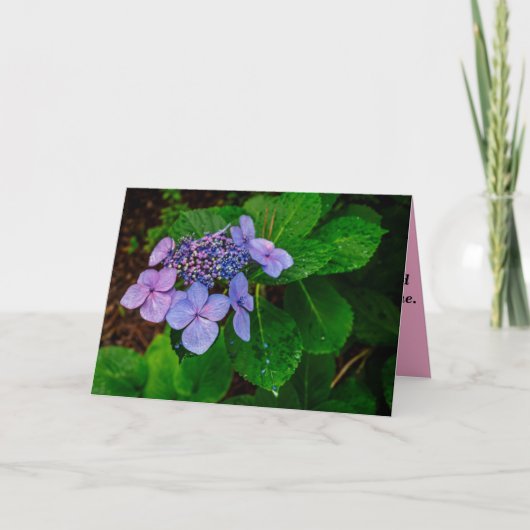 Carte Folded Landscape Sympathy Card (Devant)