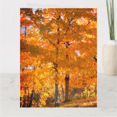 Carte Folithe d'automne (Dos)