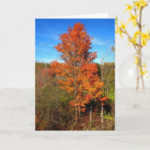 Carte Folithe d'automne (Fleur jaune)