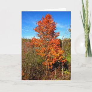 Carte Folithe d'automne