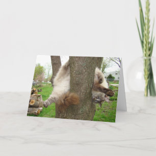 CARTE FOLLE DE VALENTINES DE CAT