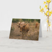 Carte Forager pour la nourriture (Fleur jaune)