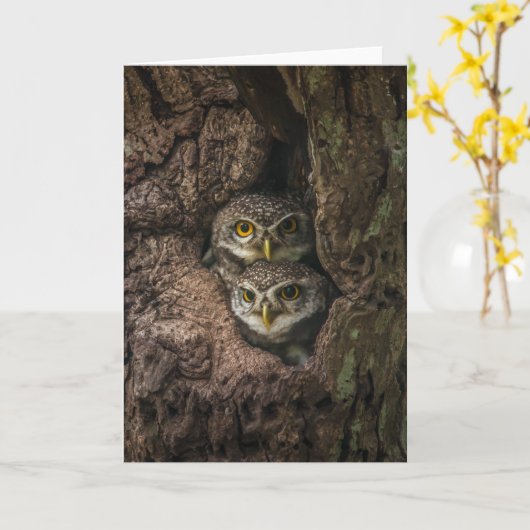 Carte Forest | Deux Owls Looking (Fleur jaune)