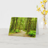Carte Forest | Parc national olympic (Fleur jaune)