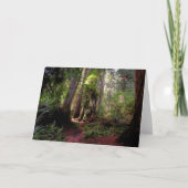 Carte Forest | Séquwood Forest California (Devant)