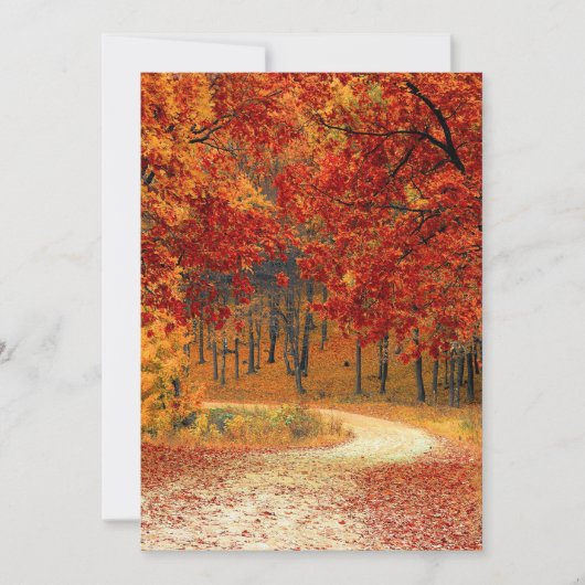Carte forestière d'automne (Devant)