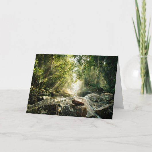 Carte Forests | Tropical Jungle Forest (Devant)