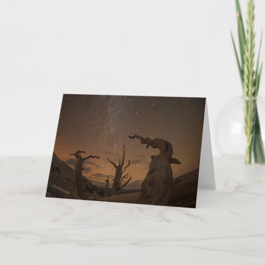 Carte Forêt ancienne de pins à Bristlecone | Californie (Devant)