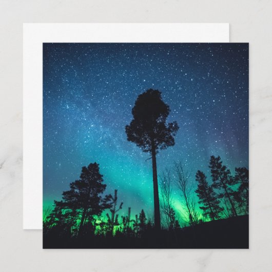 Carte Forêt Aurora (Devant / Derrière)