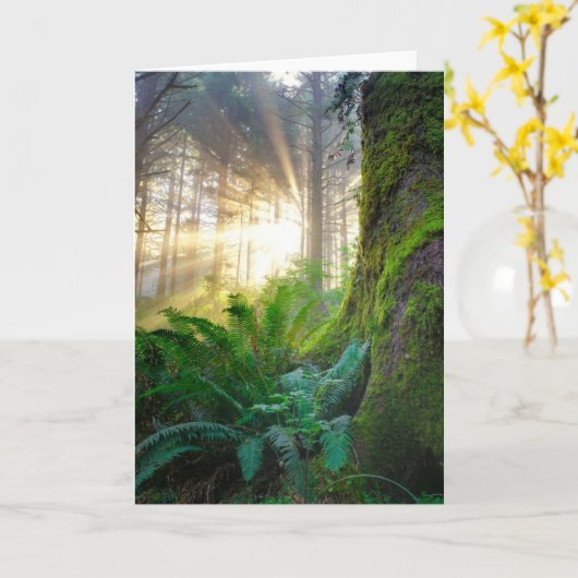 Carte Forêt côtière du Pacifique, Oregon (Fleur jaune)