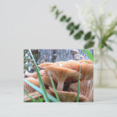 Carte Forêt de champignons (Debout devant)