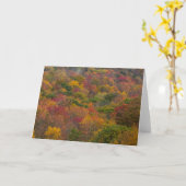 Carte Forêt de feuillus dans le comté de Randolph, Virgi (Fleur jaune)