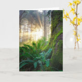 Carte Forêt de la côte pacifique, Oregon (Fleur jaune)