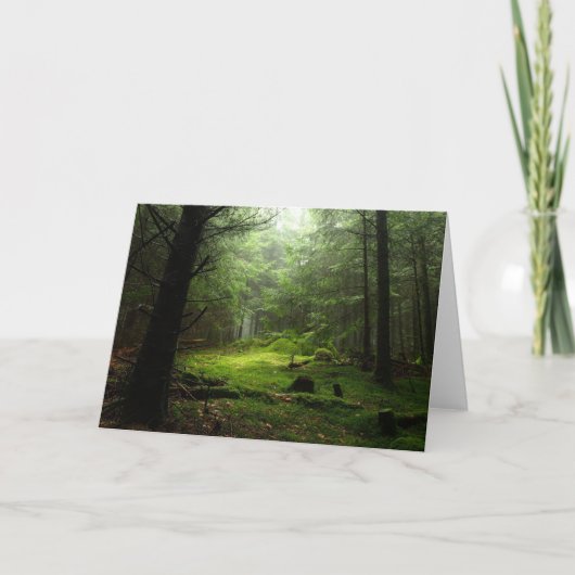Carte Forêt de Sterious (Devant)