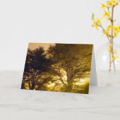 Carte forêt des fureurs (Fleur jaune)