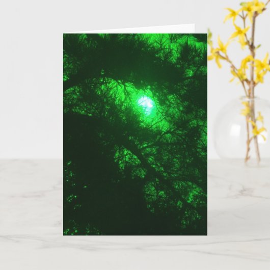 Carte Forêt éffrayante (Fleur jaune)