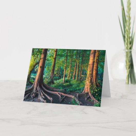 Carte Forêt en été (Devant)