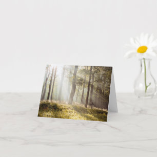 Carte Forêt ensoleillée sereine Croix Mémorial Sympathie