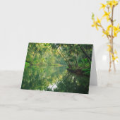 Carte Forêt | Forêt de mangrove (Fleur jaune)