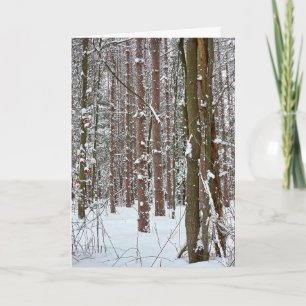 Carte Forêt hivernale tranquille de sympathie