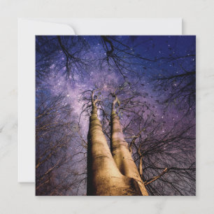 Carte Forêt mystique
