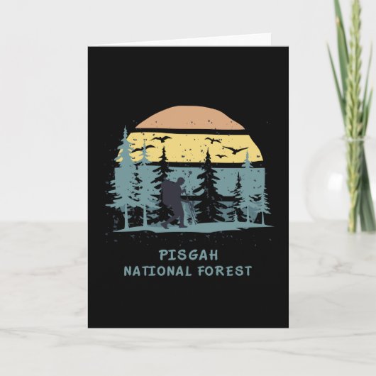 Carte Forêt nationale de Pisgah (Devant)