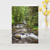 Carte Forêt nationale de Siuslaw | Sweet Creek (Fleur jaune)