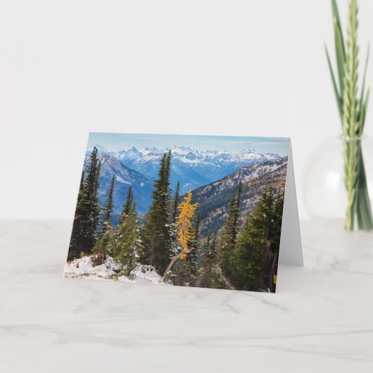 Carte Forêt nationale de Wenatchee (Devant)