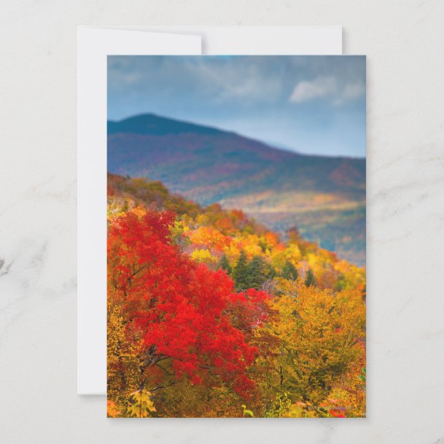 Carte Forêt nationale de White Mountains (Devant)