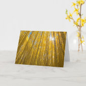 Carte Forêt nationale de White River (Fleur jaune)