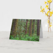 Carte Forêt nationale de Willamette | Oregon (Fleur jaune)