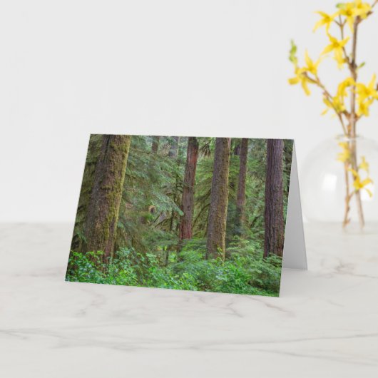 Carte Forêt nationale de Willamette | Oregon (Fleur jaune)