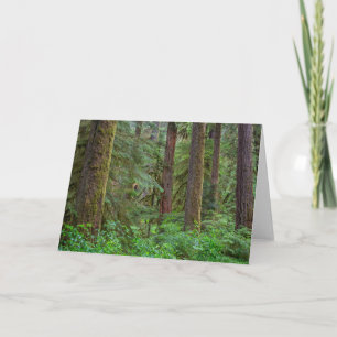 Carte Forêt nationale de Willamette Oregon