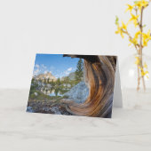 Carte Forêt nationale d'Inyo, Californie (Fleur jaune)