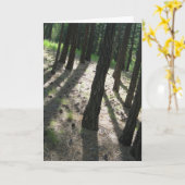 Carte Forêt ombragée d'arbre (Fleur jaune)