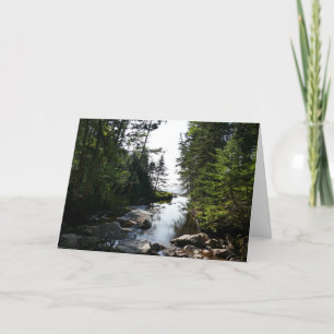 Carte Forêt près de Hunters Beach dans le parc national 
