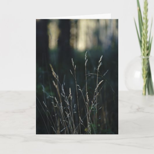 Carte Forêt Silencieuse, Sympathie (Devant)