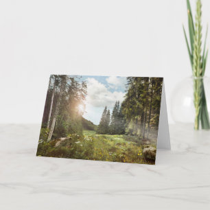 Carte Forêt Sun Peeking Thru