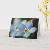 Carte Forget Me-Nots 12 Sympathy Card (Fleur jaune)