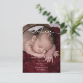 Carte Formal Introducing Photo Baby Announcement Card (Debout devant)